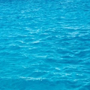 Meet your Posher, Kynzi